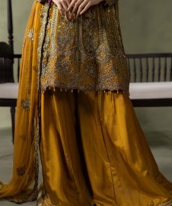 Luxury Formal Mustard Embroidered Net Suit Mbsf-Aw16111Md 14 Sf W26111 Musterd I Imanistudio.com