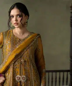 Luxury Formal Mustard Embroidered Net Suit Mbsf-Aw16111Md 13 Sf W26111 Musterd Imanistudio.com