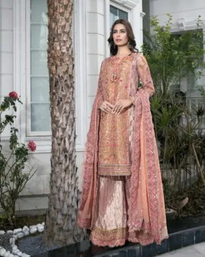 Mehdi Luxury T Pink/Peach Organza Outfit Mdfg-2403Glam